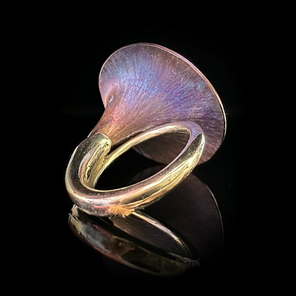 Lilium - Image 4